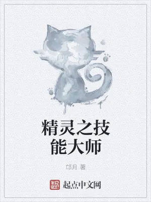 《精灵之技能大师》小说封面