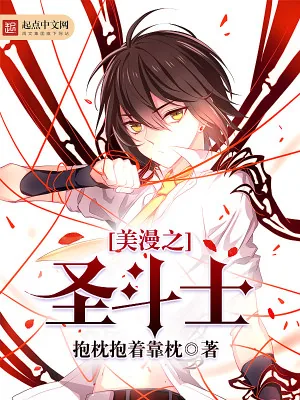 《美漫之圣斗士》小说封面