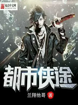 《都市侠途》小说封面