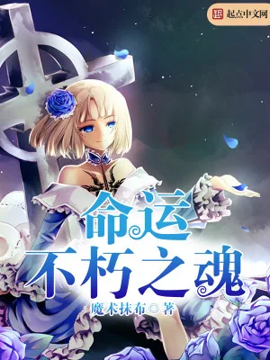 《命运不朽之魂》小说封面