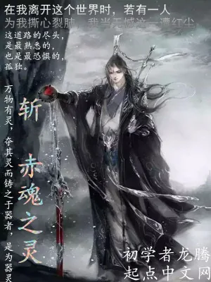 《斩赤魂之灵》小说封面