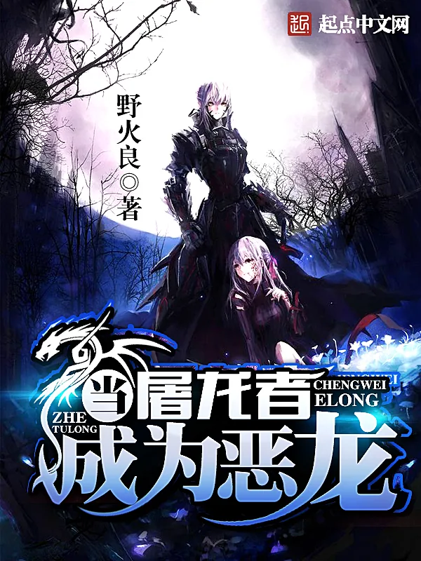 《当屠龙者成为恶龙》小说封面