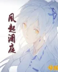 《风起澜庭》小说封面