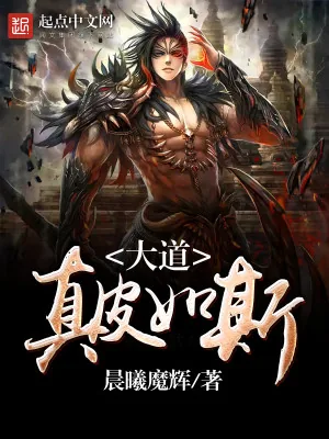 《大道真皮如斯》小说封面