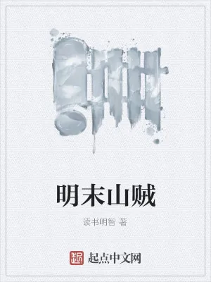 《明末山贼》小说封面