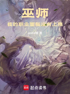 《巫师:我的职业面板没有上限》小说封面