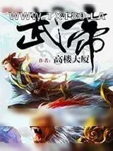 《武帝》小说封面