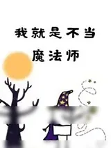 《我就是不当魔法师》小说封面