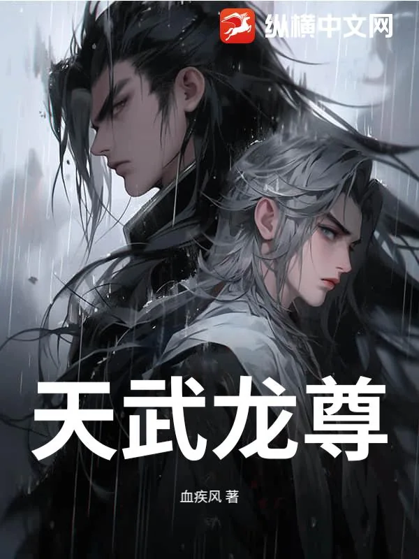 《天武龙尊》小说封面