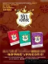《骑士幻想夜》小说封面
