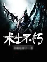 《术士不朽》小说封面