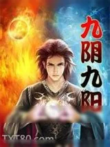 《九阴九阳》小说封面