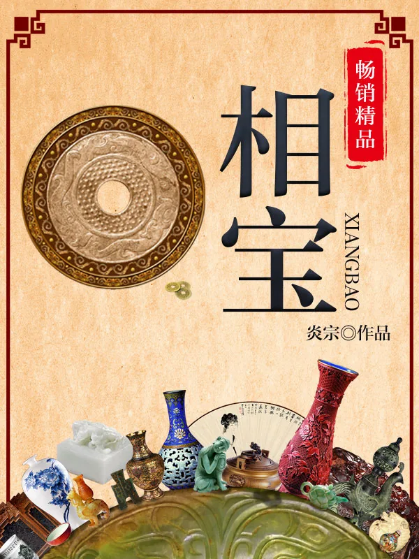 《相宝》小说封面