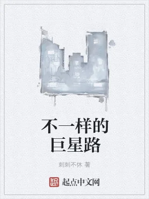 《不一样的巨星路》小说封面