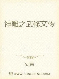 《神雕之武修文传》小说封面