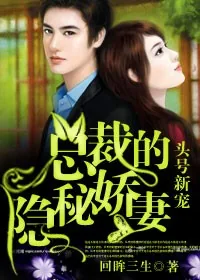 《头号新宠,总裁的隐秘娇妻!》小说封面