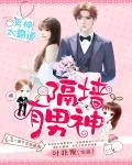 《弃妃，别来无恙》小说封面