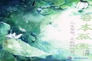 《吾本孤傲》小说封面
