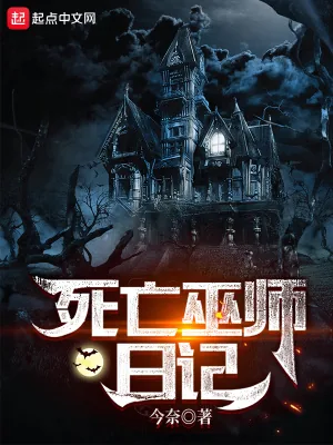 《死亡巫师日记》小说封面