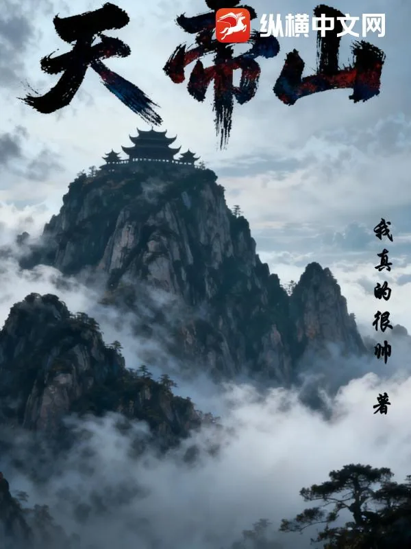 《天帝山》小说封面