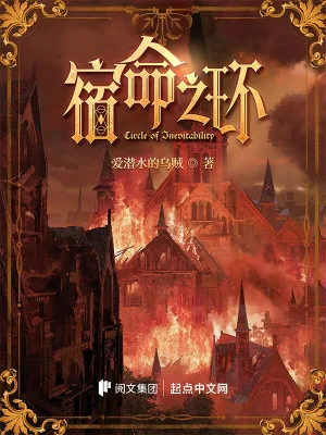 《宿命之环》小说封面