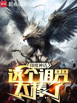 《印度神话：这个诅咒太棒了》小说封面