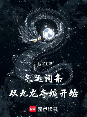 《气运词条，从九龙夺嫡开始》小说封面