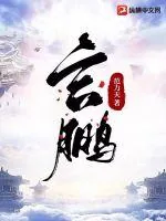 《玄鹏》小说封面