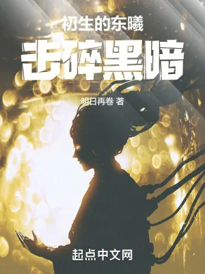 《初生的东曦，击碎黑暗！》小说封面