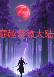 《穿越紫徽大陆》小说封面