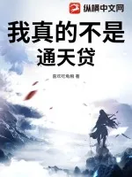 《我真的不是通天贷》小说封面