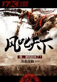 《风叱天下》小说封面