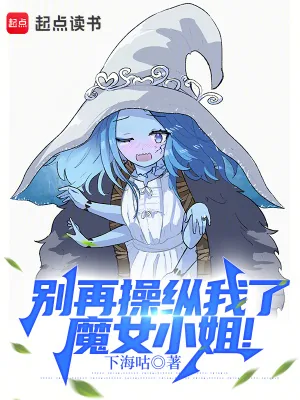 《别再操纵我了,魔女小姐!》小说封面