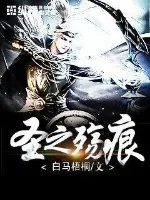 《圣之殇痕》小说封面