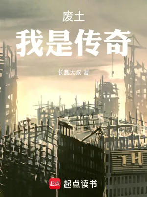 《废土：我是传奇》小说封面