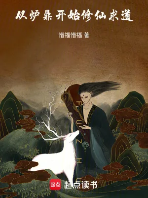 《从炉鼎开始修仙求道》小说封面