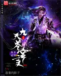 《九天苍穹变》小说封面