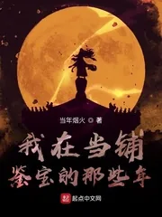 《我在当铺鉴宝的那些年》小说封面