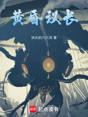 《黄昏议长》小说封面