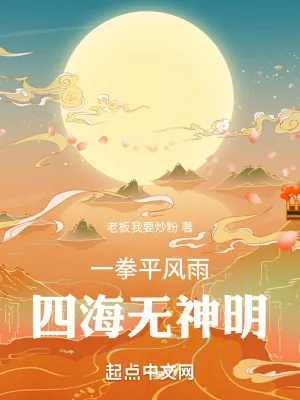 《一拳平风雨,四海无神明》小说封面