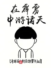 《在霹雳中游诸天》小说封面
