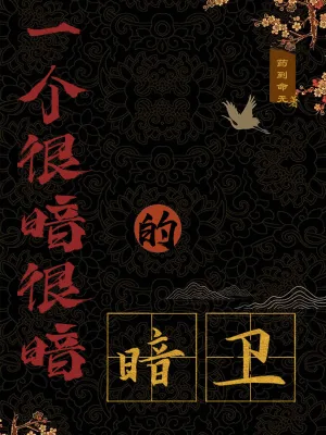 《一个很暗很暗的暗卫》小说封面