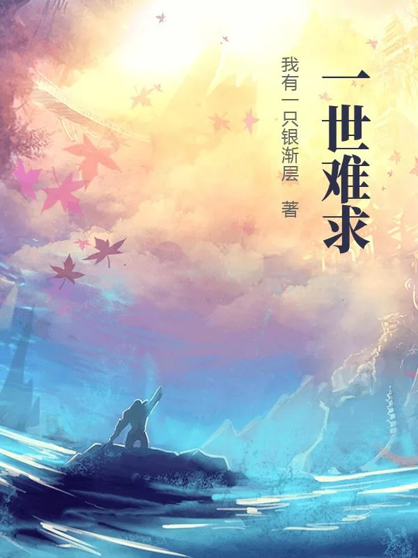 《一世难求》小说封面
