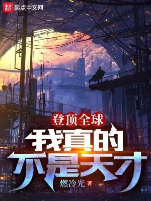 《登顶全球:我真的不是天才》小说封面