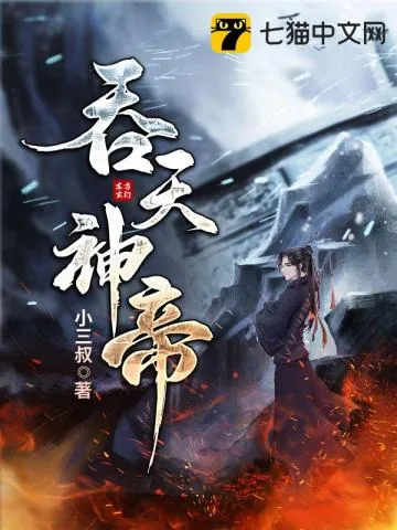 《吞天神帝》小说封面