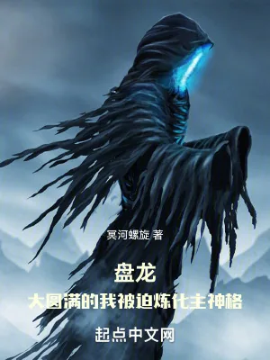 《盘龙：大圆满的我被迫炼化主神格》小说封面