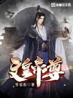 《文皇帝尊》小说封面