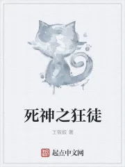 《死神之狂徒》小说封面