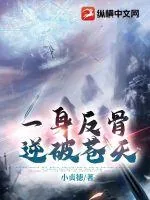 《一身反骨，逆破苍天》小说封面
