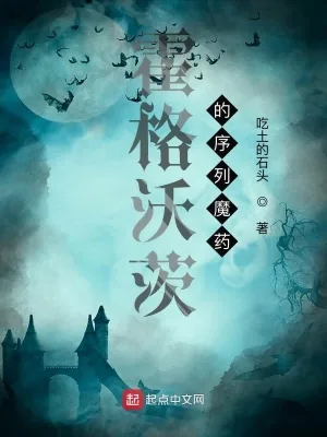 《霍格沃茨的序列魔药》小说封面